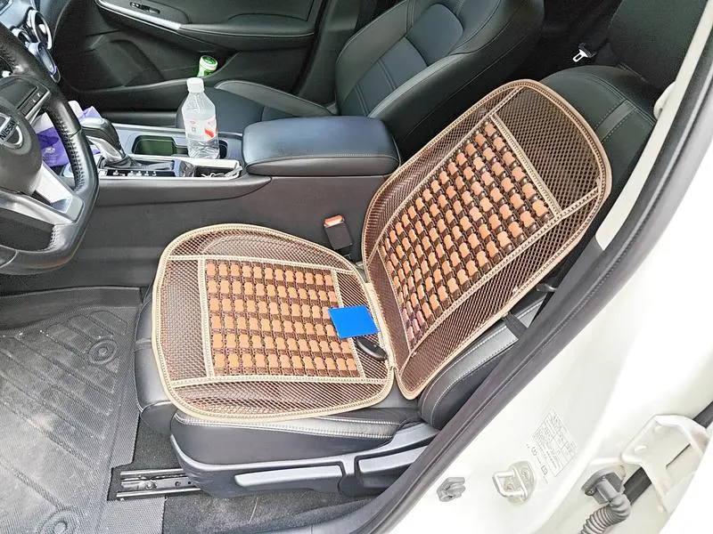 2020 Nissan Sylphy thumbnail 8