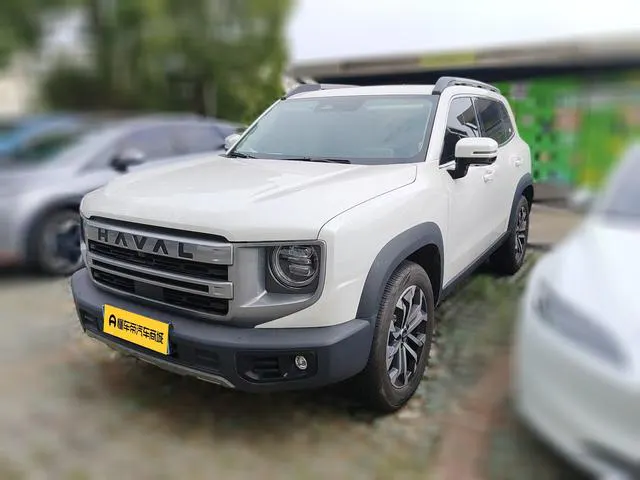 2024 Haval Dawg thumbnail 2