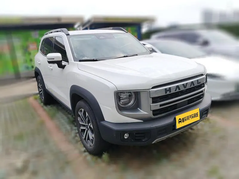 2024 Haval Dawg thumbnail 4