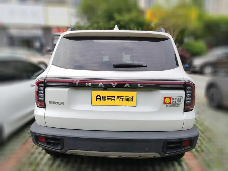 2024 Haval Dawg thumbnail 6