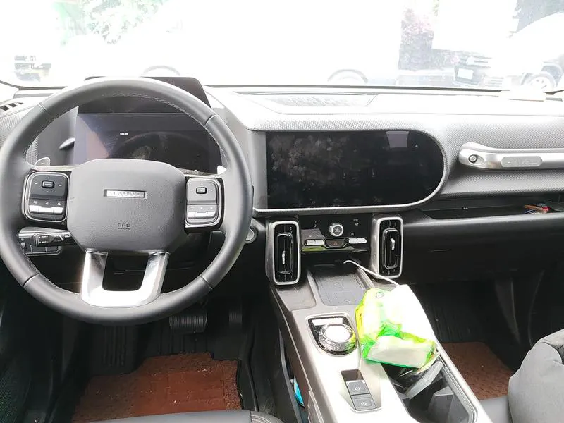 2024 Haval Dawg thumbnail 11