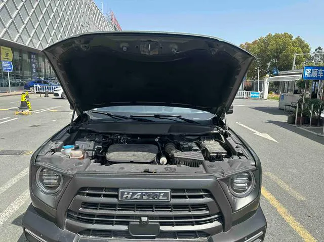 2022 Haval Dawg thumbnail 3