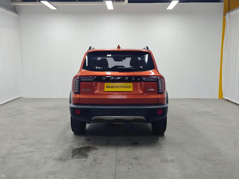 2021 Haval Dawg thumbnail 7