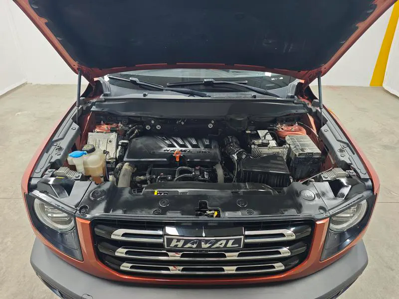 2021 Haval Dawg thumbnail 11