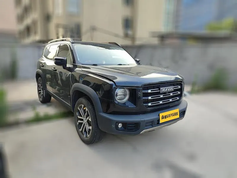 2022 Haval Dawg thumbnail 4