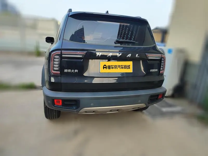 2022 Haval Dawg thumbnail 6