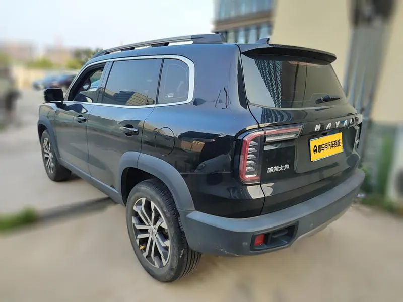 2022 Haval Dawg thumbnail 7