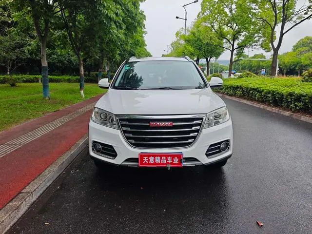 2017 Haval H6 thumbnail 2