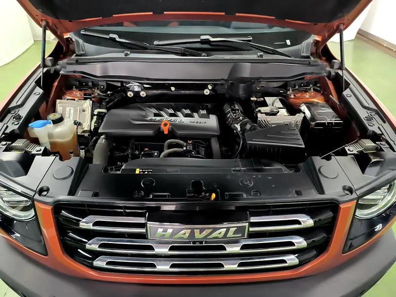 2021 Haval Dawg thumbnail 10