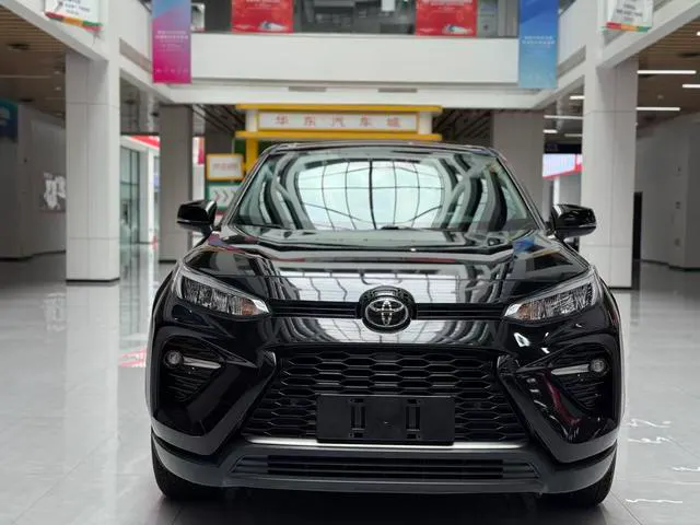 2021 Toyota Wildlander thumbnail 2