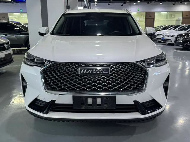 2021 Haval H6 thumbnail 2