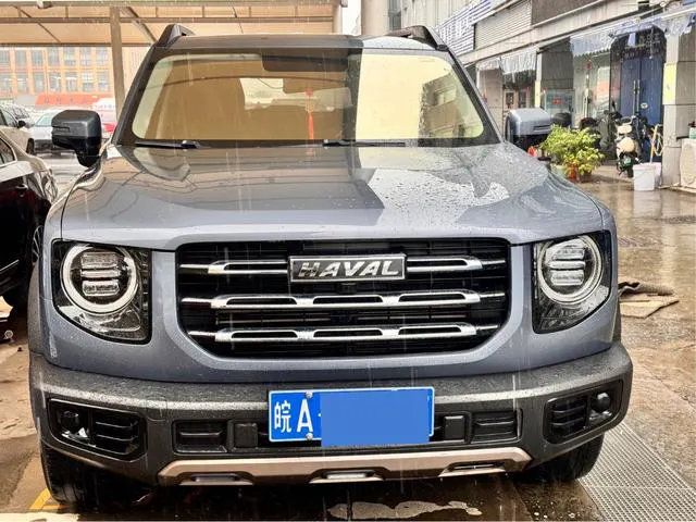 2021 Haval Dawg thumbnail 2
