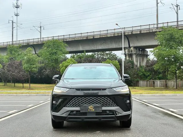 2022 Haval H6S thumbnail 2