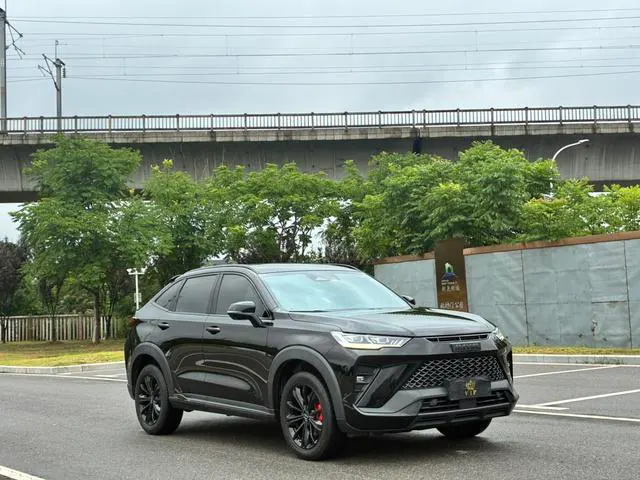 2022 Haval H6S thumbnail 3