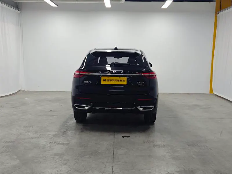 2020 Haval F7 thumbnail 7