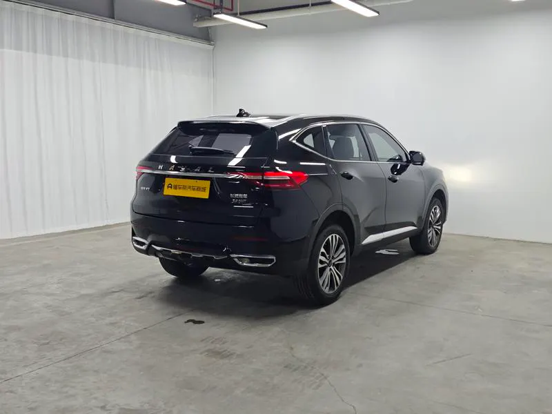 2020 Haval F7 thumbnail 8