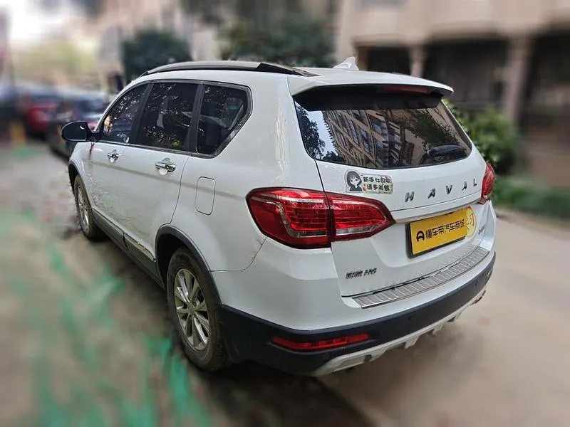 2019 Haval H6 thumbnail 4