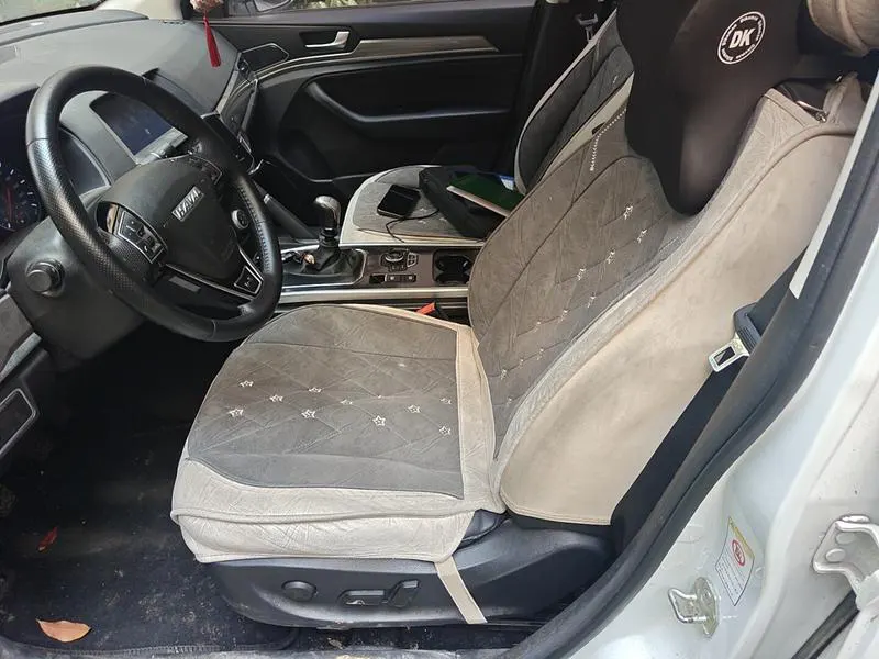 2019 Haval H6 thumbnail 10