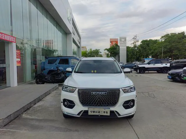 2021 Haval H6 thumbnail 2