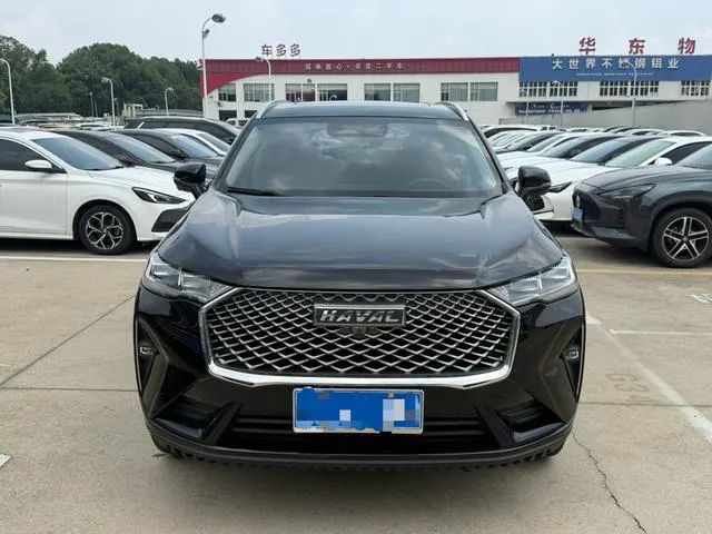2022 Haval H6 thumbnail 2