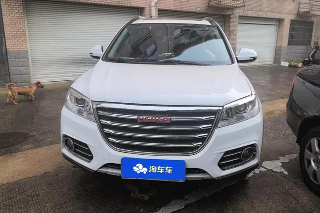 2018 Haval H6 thumbnail 2
