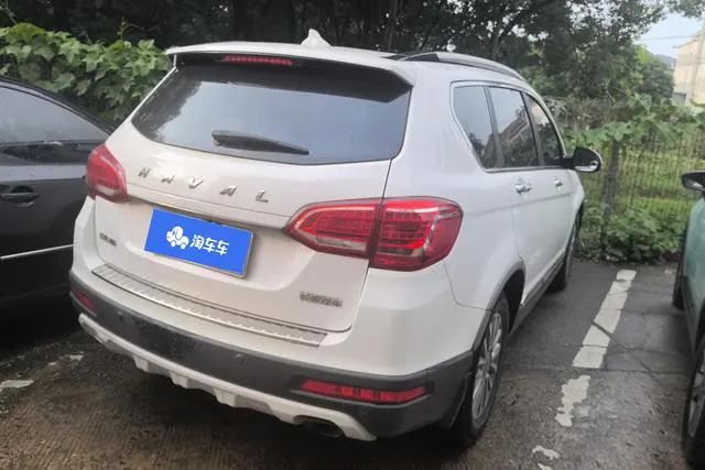 2018 Haval H6 thumbnail 3