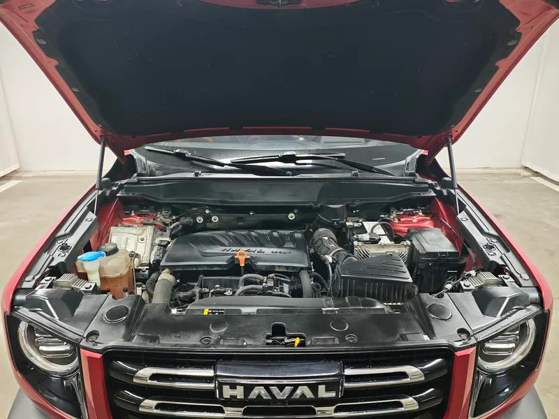 2021 Haval Dawg thumbnail 11