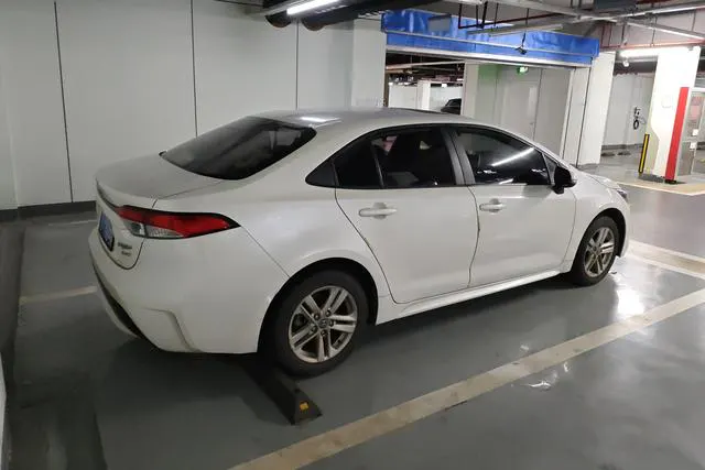 2019 Toyota Corolla thumbnail 3