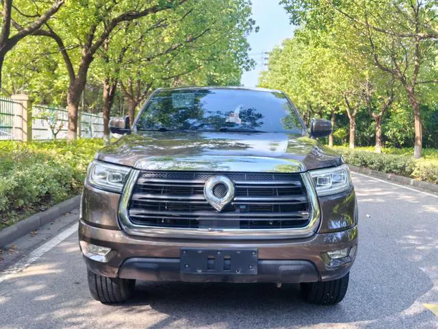 2019 GWM Pao thumbnail 2