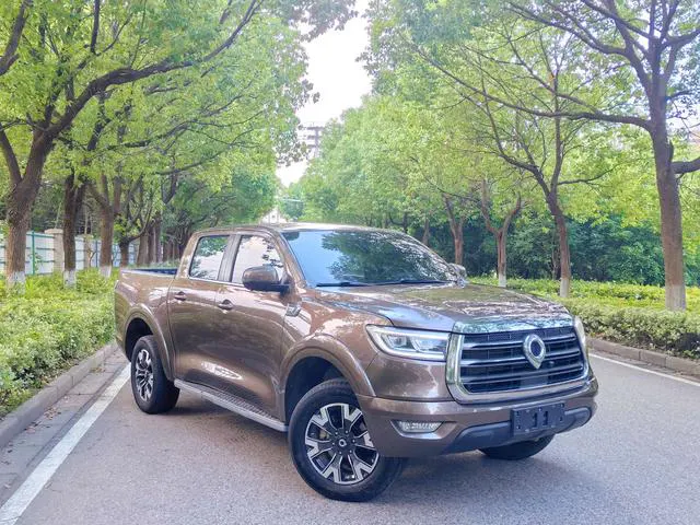 2019 GWM Pao thumbnail 3