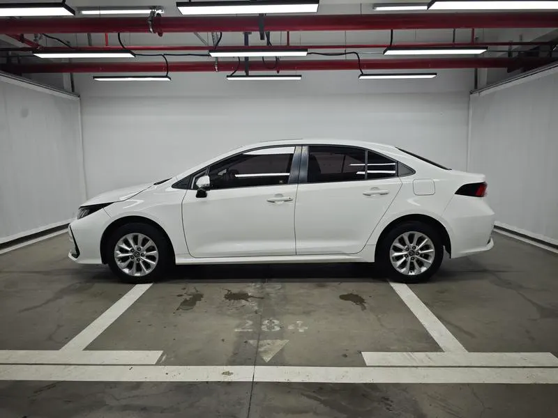 2019 Toyota Corolla thumbnail 5