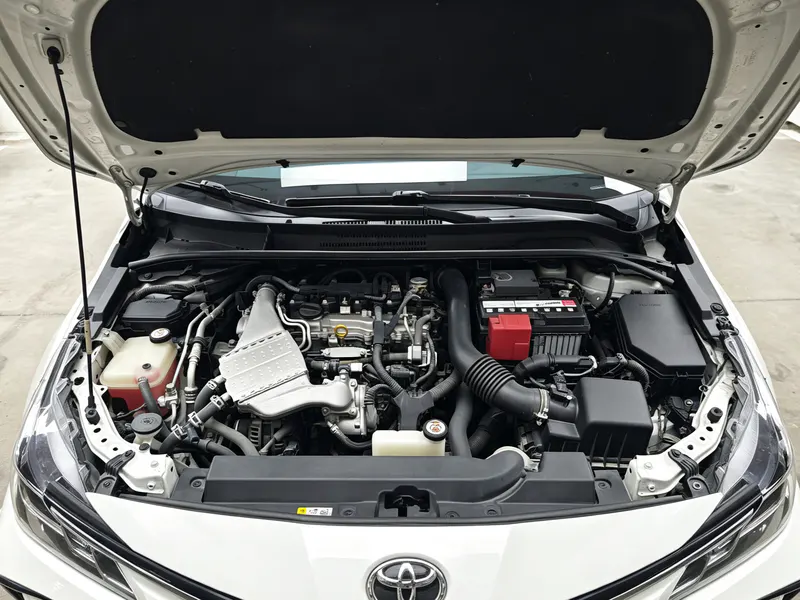 2019 Toyota Corolla thumbnail 11