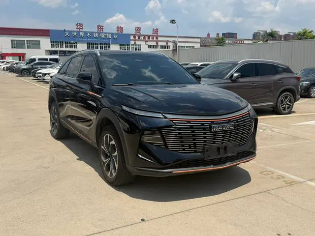 2021 Haval Shen Shou thumbnail 3