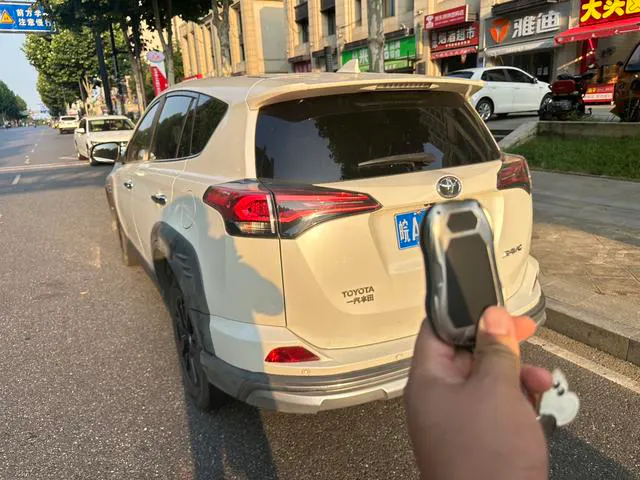 2019 Toyota RAV4 thumbnail 3