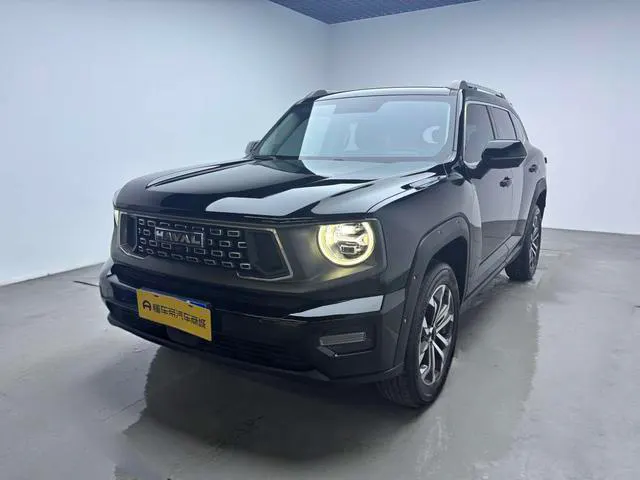 2023 Haval Dawg PLUS thumbnail 2