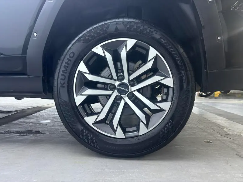 2023 Haval Dawg PLUS thumbnail 10