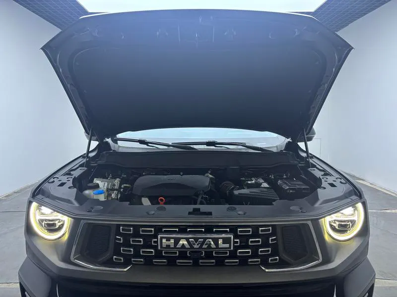 2023 Haval Dawg PLUS thumbnail 11