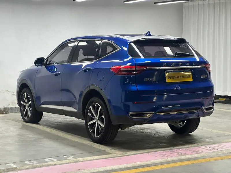 2019 Haval F7 thumbnail 6
