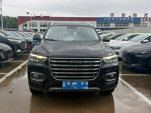 2020 Haval H6 thumbnail 2