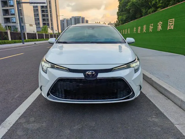 2019 Toyota Corolla thumbnail 2