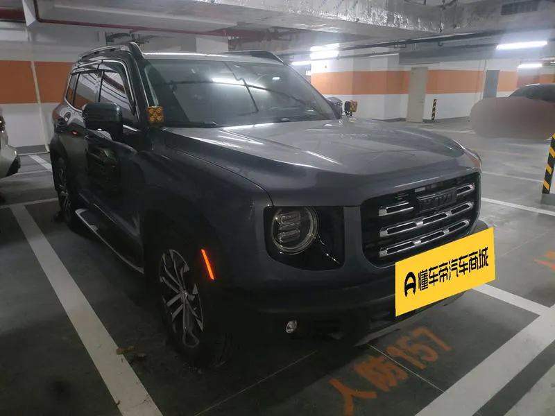 2021 Haval Dawg thumbnail 3