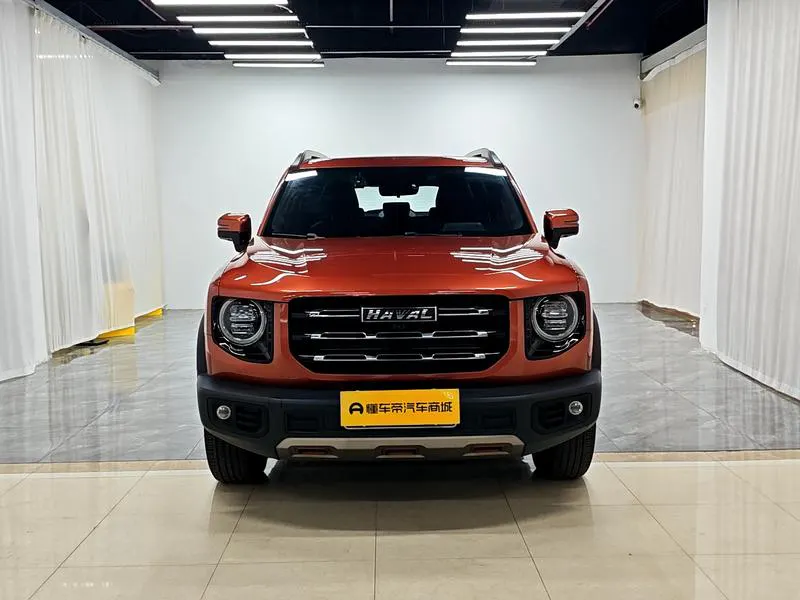 2021 Haval Dawg thumbnail 3