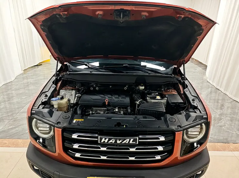 2021 Haval Dawg thumbnail 11