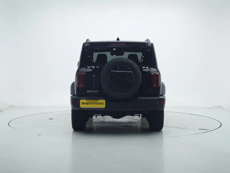 2020 Tank 300 thumbnail 7