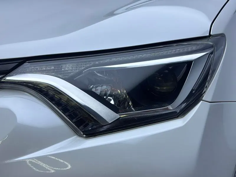 2019 Toyota RAV4 thumbnail 13