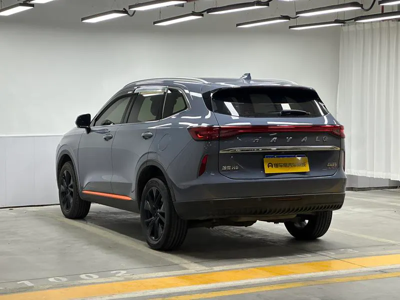 2021 Haval H6 thumbnail 6