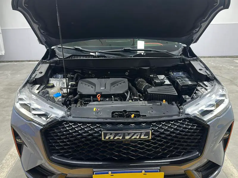 2021 Haval H6 thumbnail 11