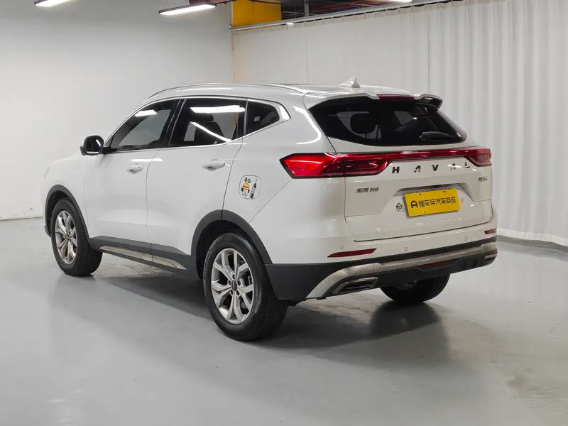 2021 Haval H6 thumbnail 6