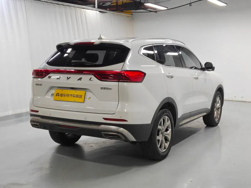 2021 Haval H6 thumbnail 8