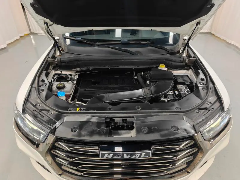 2021 Haval H6 thumbnail 11